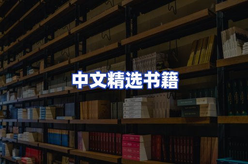 中文精选书籍